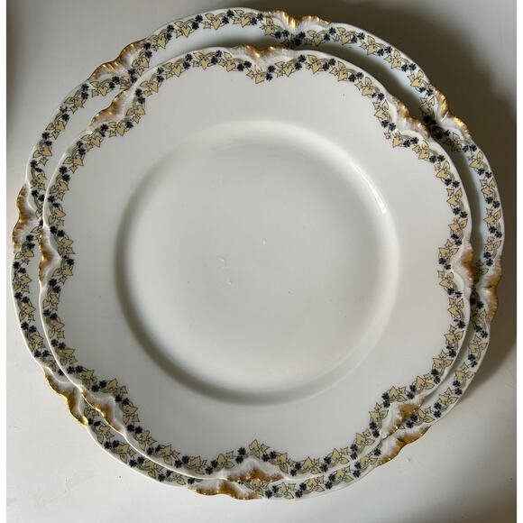 Limoges by Frank Haviland-8 plates/10 lunch/4 soup-Gold yellow ivy - Picture 1 of 9